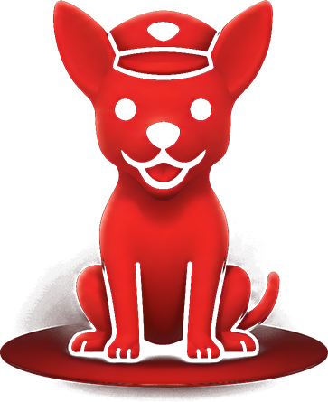 Chihuahua, mascota de la marca Postdog, con gorra de cartero
